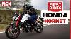 Budget Middleweight Kicks Honda Cb750 Hornet Ridden Mcn Review