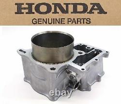 Cylinder 06-20 MUV700 SXS700 TRX680 Top End OEM Genuine Honda Engine Jug#L121