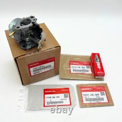 Genuine HONDA 16100-Z9M-811 Carburetor with Gaskets for GCV200LA HRX217K6 OEM