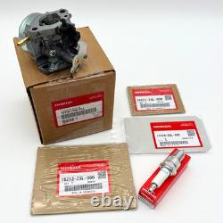 Genuine HONDA 16100-Z9M-811 Carburetor with Gaskets for GCV200LA HRX217K6 OEM