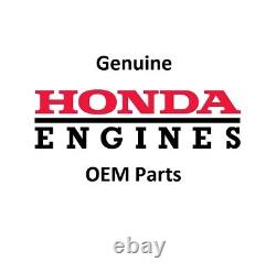Genuine Honda 16100-Z5F-F01 Carburetor OEM
