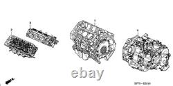 Genuine Honda General Front Cylinder Head NEW OEM 10004-PVF-A01