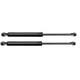 Genuine Honda Oem Trunk Damper For Acura Nsx R Na1 2 74872-sl0-305 (&times;2)
