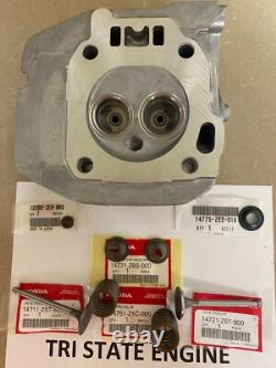 Genuine Oem Honda Cylinder Head Assembly Fits Gx340 Gx390