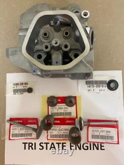 Genuine Oem Honda Cylinder Head Assembly Fits Gx340 Gx390