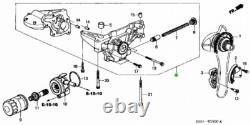 Honda Acura Genuine OEM Oil Pump Kit Fits K20A2 K24 / K20Z3 K24A1 K24A2