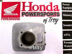 New Genuine Honda Oem Cylinder 2001-2025 Trx250x Ex Tm Te Te1 12100-hn6-000