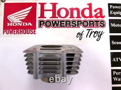 New Genuine Honda Oem Cylinder 2001-2025 Trx250x Ex Tm Te Te1 12100-hn6-000