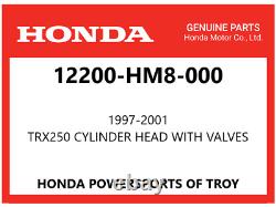 New Genuine Honda Oem Cylinder Head With Valves Installed 1997-01 Trx250 Recon