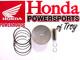 New Genuine Honda Oem Piston Kit 2012-19 Trx500 2015-23 Pioneer 500 See Desc
