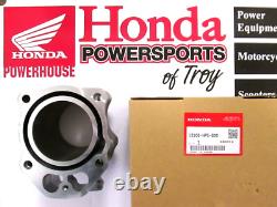 New Genuine Honda Oem Std Cylinder & Piston Kit 2007-2008 Trx420 Rancher