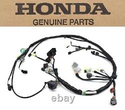 Wire Harness 09-13 TRX420 FM Rancher OEM Genuine Honda Main Wiring Loom #H240
